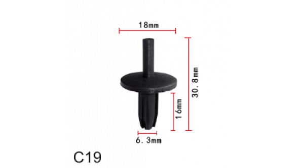 C0019