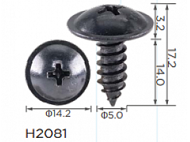 H2081