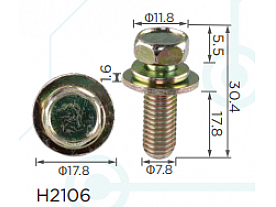 H2106