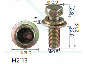 H2113