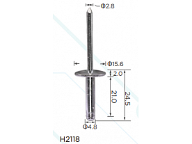 H2118