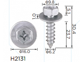 H2131