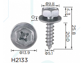 H2133