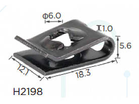 H2198