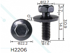 H2206