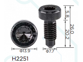 H2251