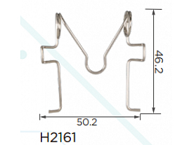 H2161