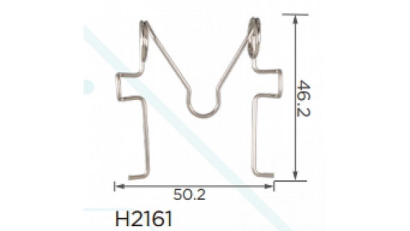 H2161