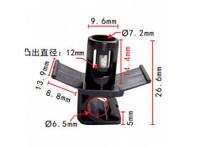 C1009