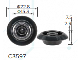 C3597